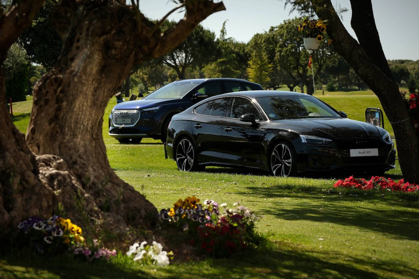 Gran día de Helmántica Audi en La Valmuza