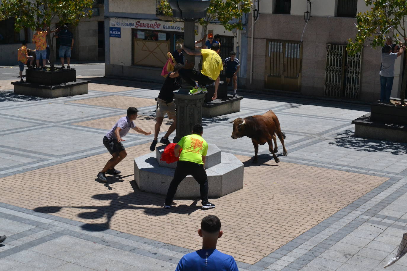 Bravura y entrega en el encierro de Vitigudino