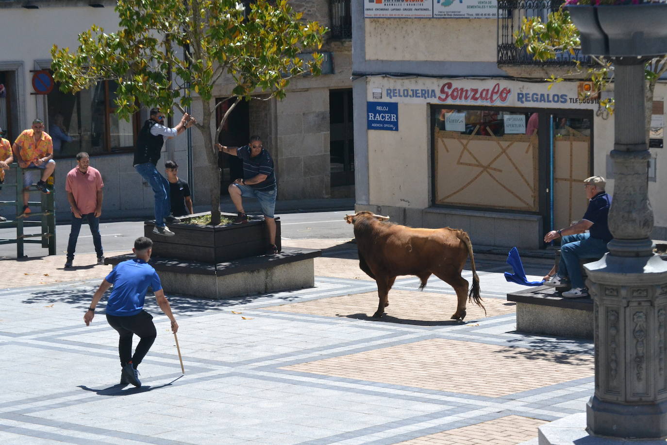 Bravura y entrega en el encierro de Vitigudino