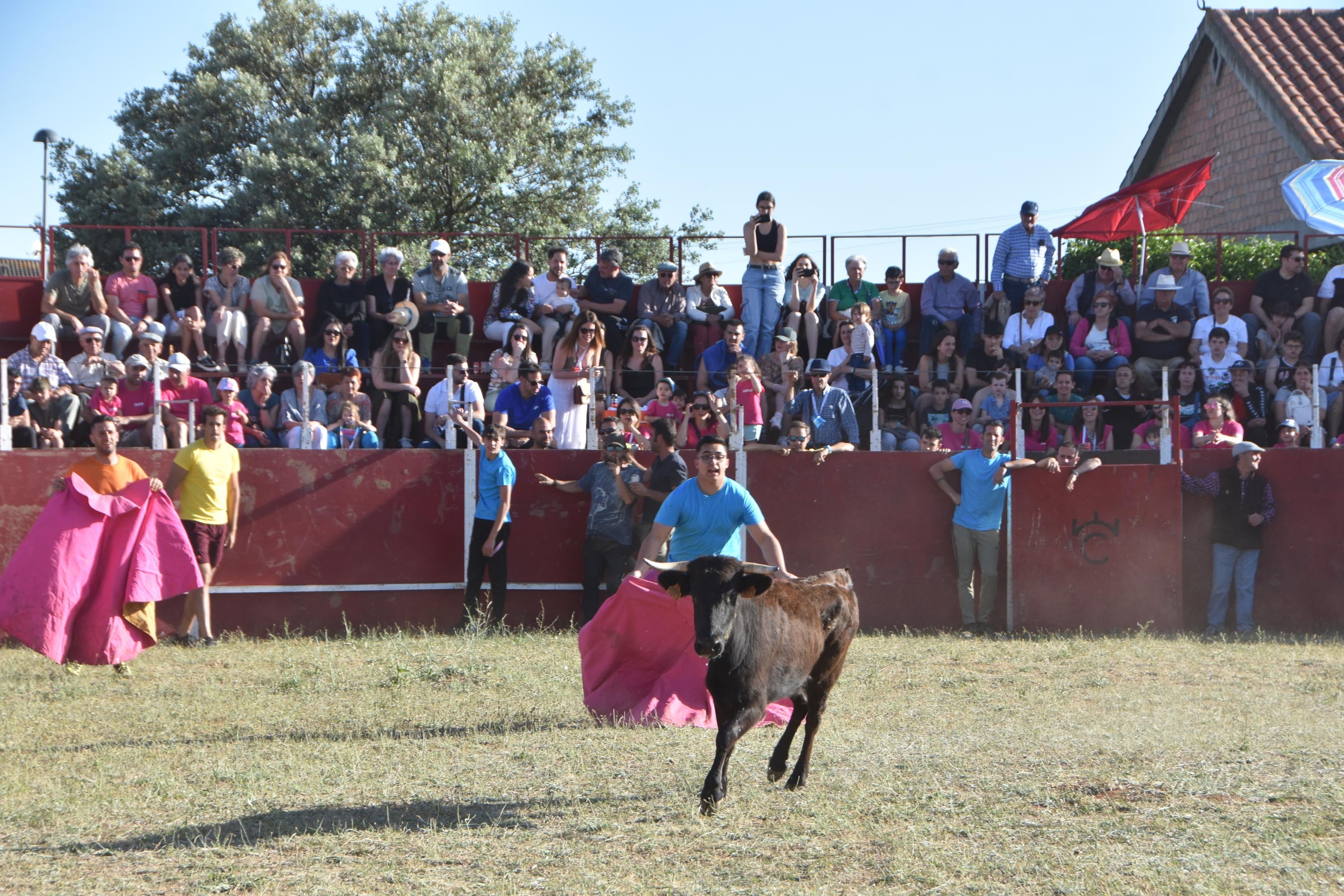 Grand Prix de risas y diversión en Aldeatejada