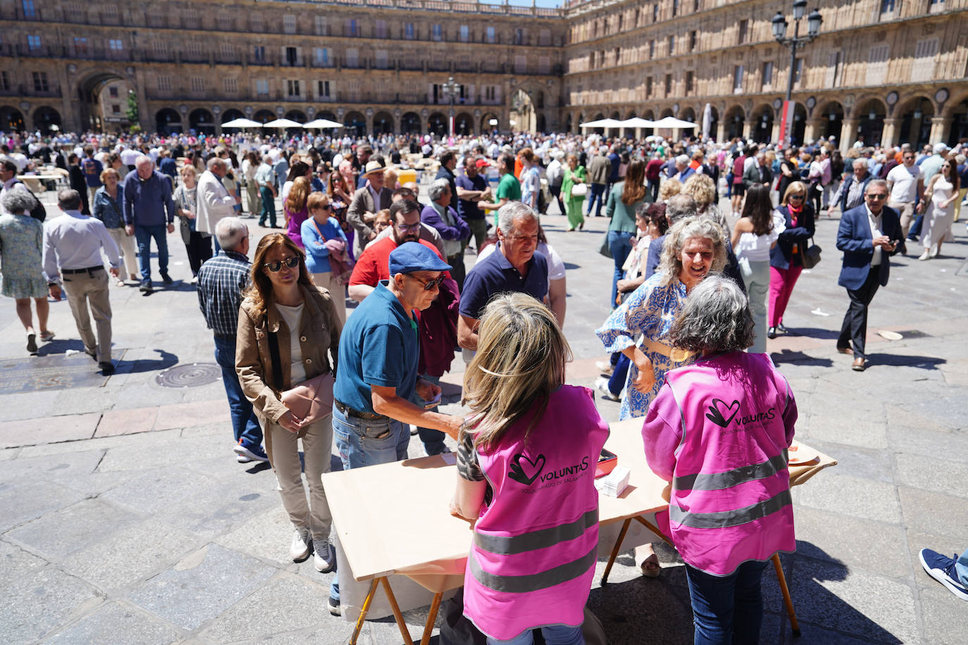 Miles de salmantinos disfrutan de una exitosa jornada de ibérico en el centro