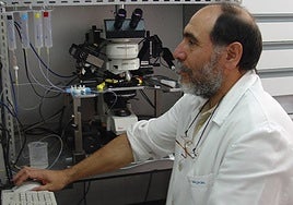 Javier Yajeya prepara la observación a través del microscopio.