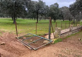 Imagen de los daños tras el robo en Aldeatejada.