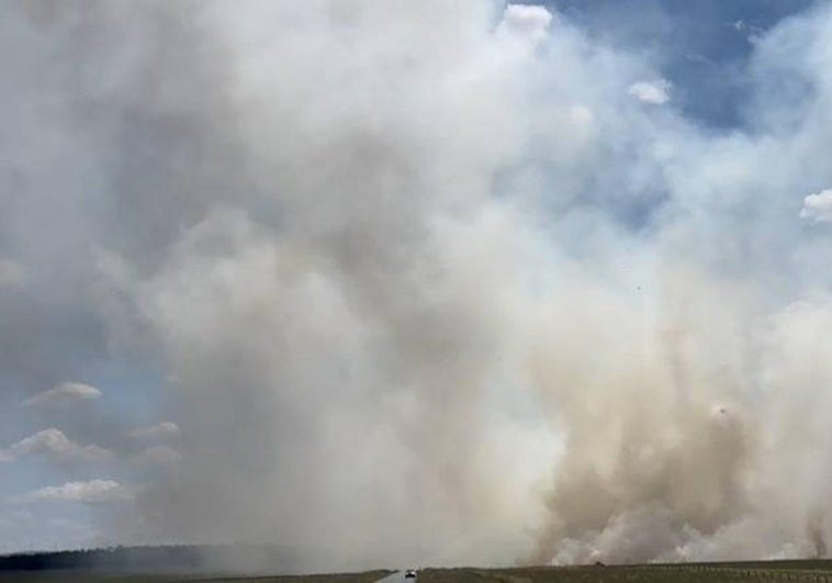 El fuego en el campo de cultivo de San Pedro.