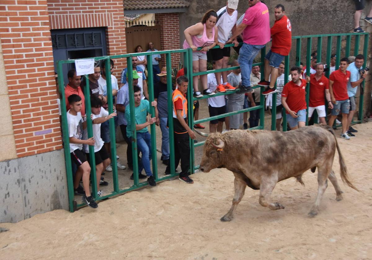 El toro del cajón volverá a las calles de Topas.
