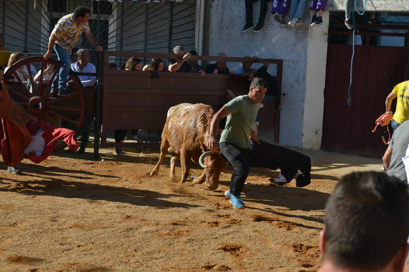 Martín de Yeltes sigue de fiesta con los toros como protagonistas