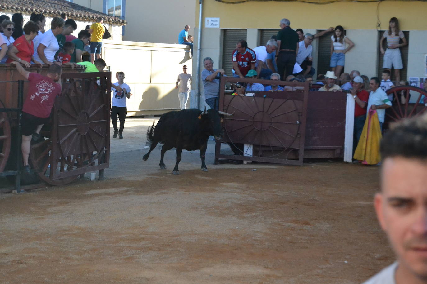 Martín de Yeltes sigue de fiesta con los toros como protagonistas