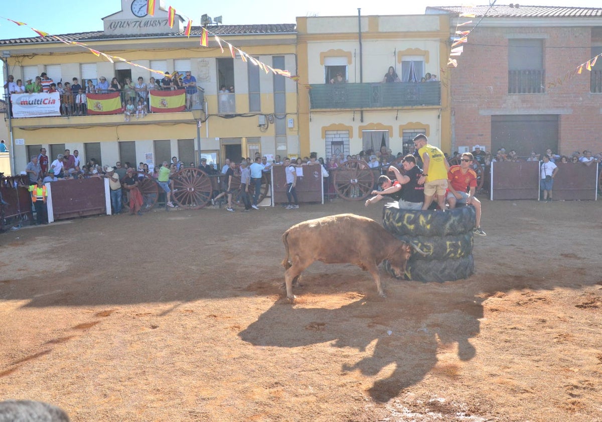 Martín de Yeltes sigue de fiesta con los toros como protagonistas