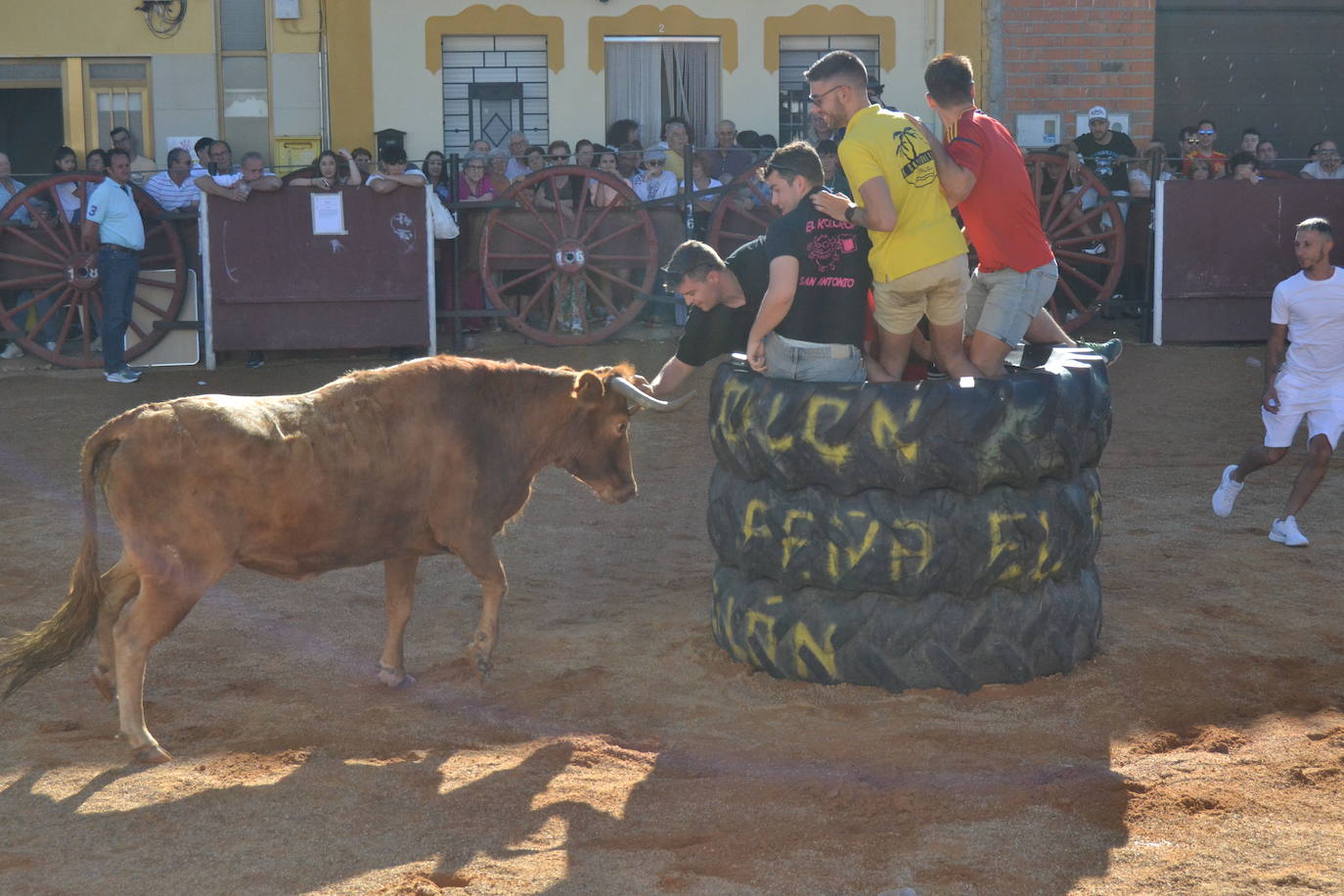 Martín de Yeltes sigue de fiesta con los toros como protagonistas