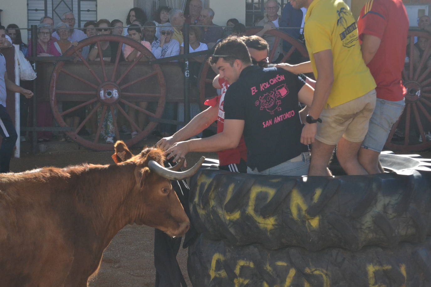 Martín de Yeltes sigue de fiesta con los toros como protagonistas