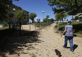 Un hombre pasea a su perro por las cercanías del pipican del paseo Padre Enrique Basabe.