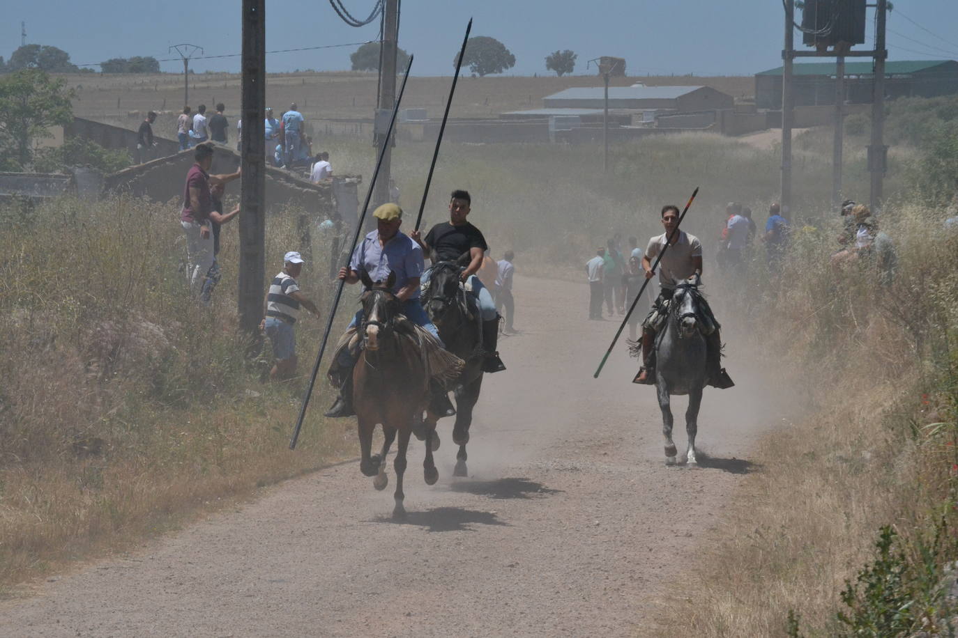 Rápido y vistoso encierro a caballo en Martín de Yeltes