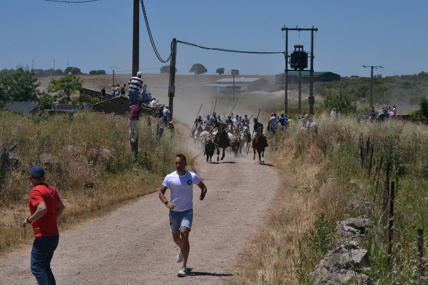 Rápido y vistoso encierro a caballo en Martín de Yeltes