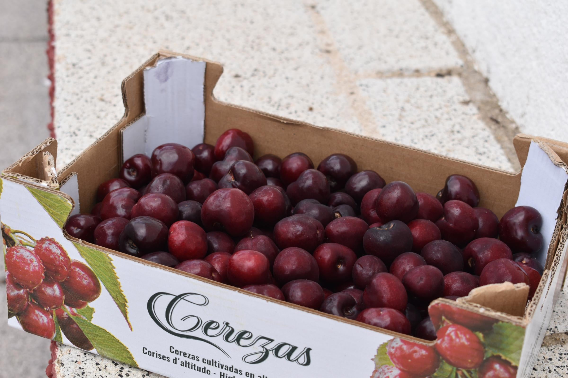 40 kilos de cerezas para cerrar las fiestas en Sieteiglesias de Tormes