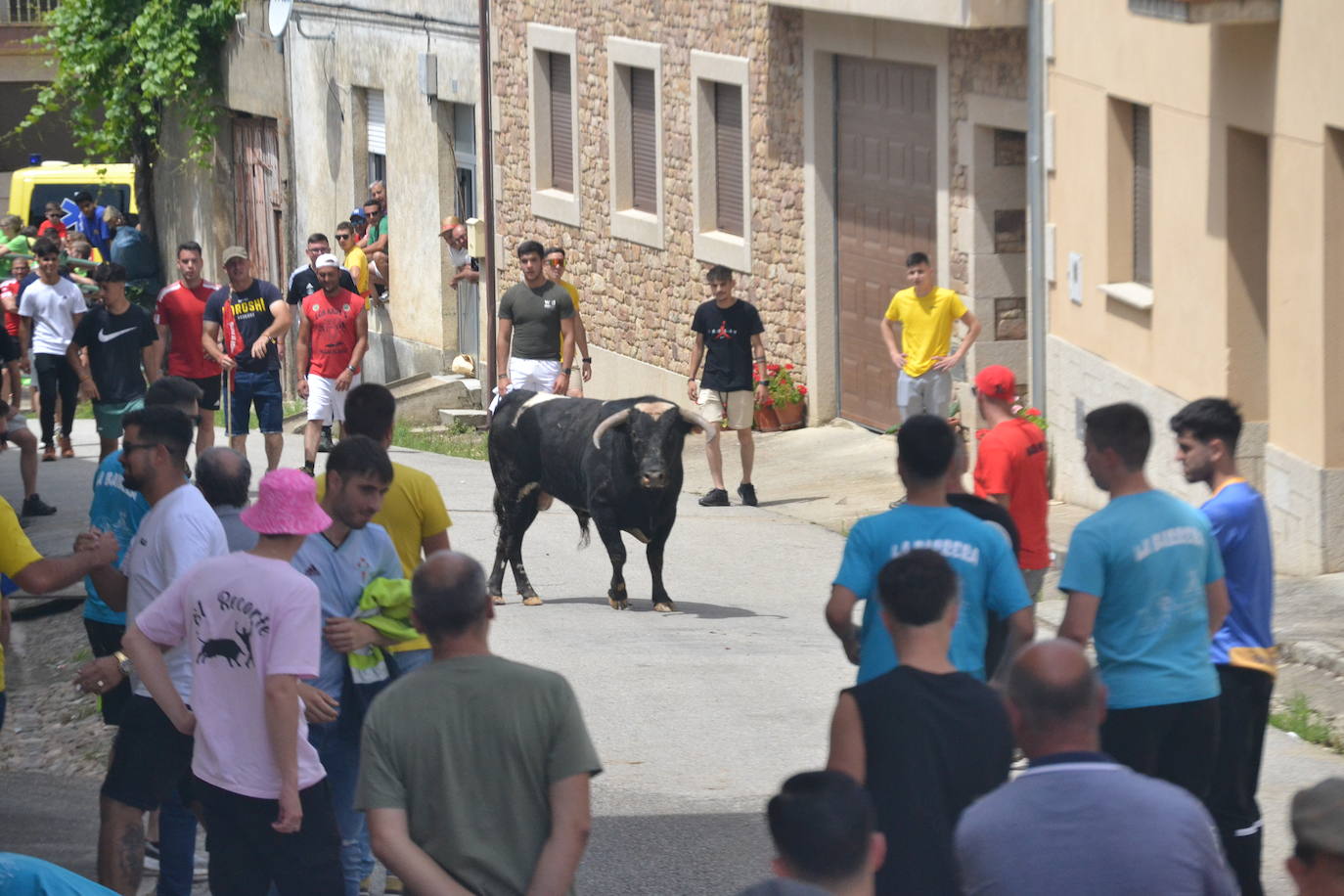 Tensión y riesgo en el Toro de Cajón de Hinojosa de Duero