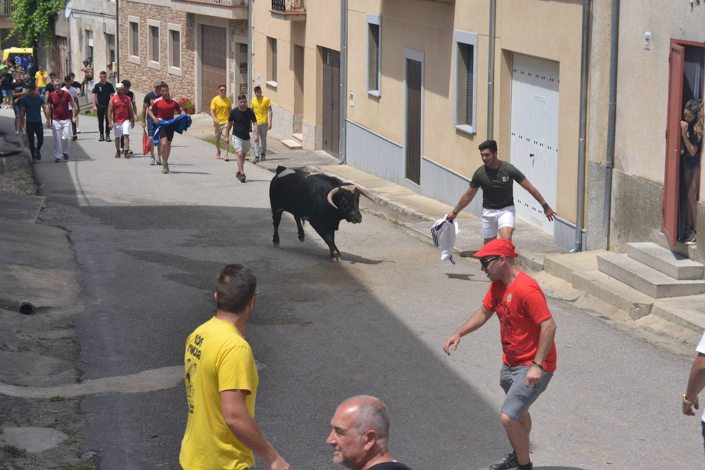 Tensión y riesgo en el Toro de Cajón de Hinojosa de Duero