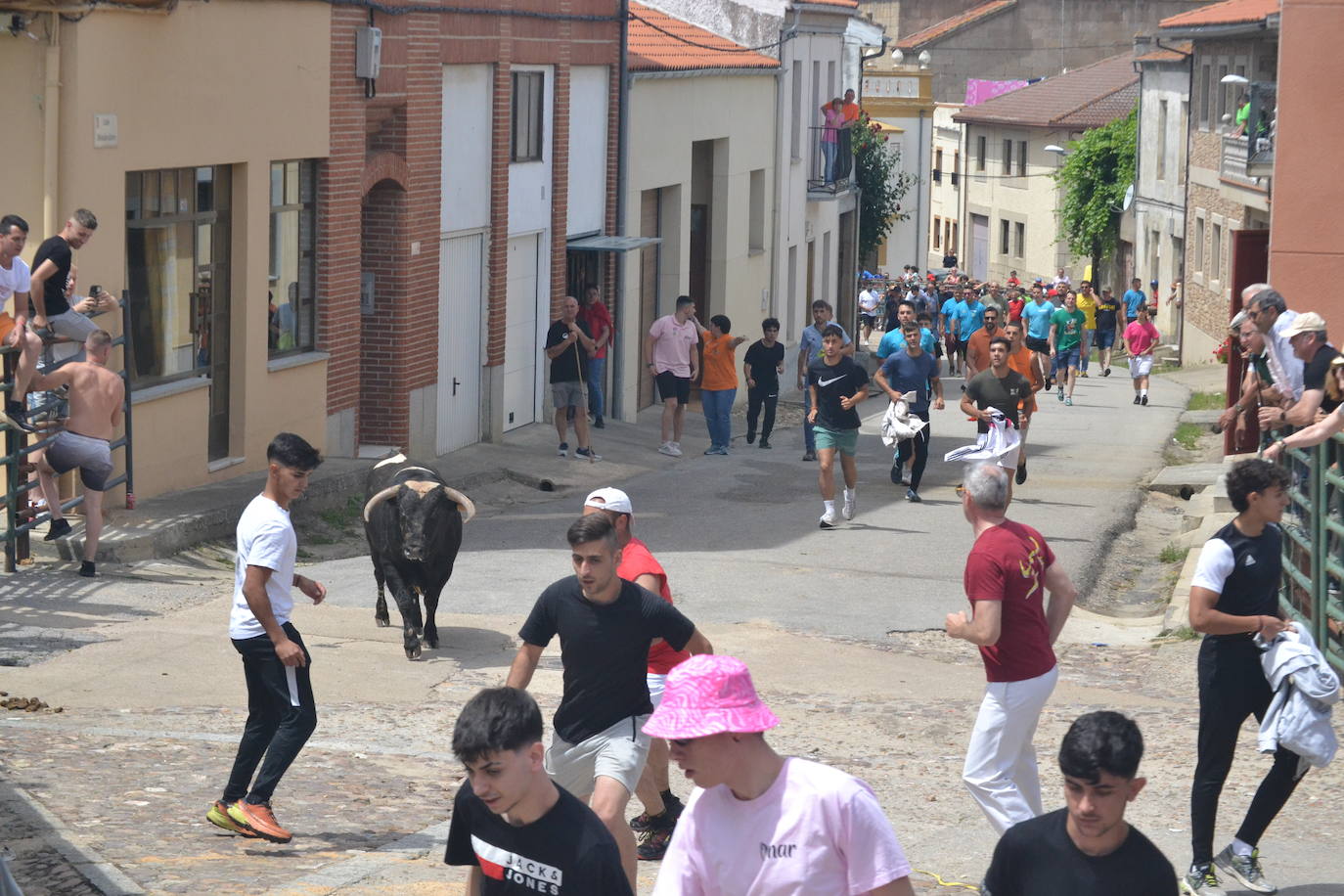 Tensión y riesgo en el Toro de Cajón de Hinojosa de Duero