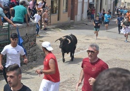 Los mozos corren delante del novillo durante el encierro