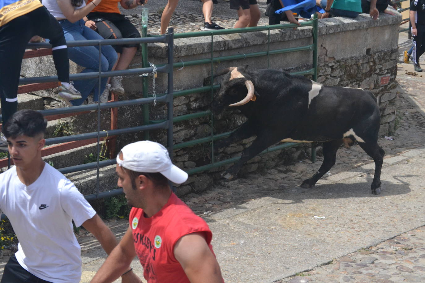 Tensión y riesgo en el Toro de Cajón de Hinojosa de Duero