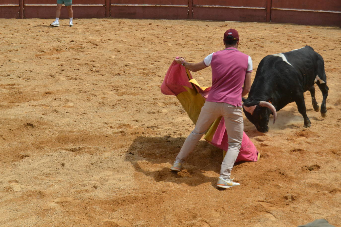 Tensión y riesgo en el Toro de Cajón de Hinojosa de Duero