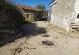 Manchas de sangre en el lugar de feroz ataque.