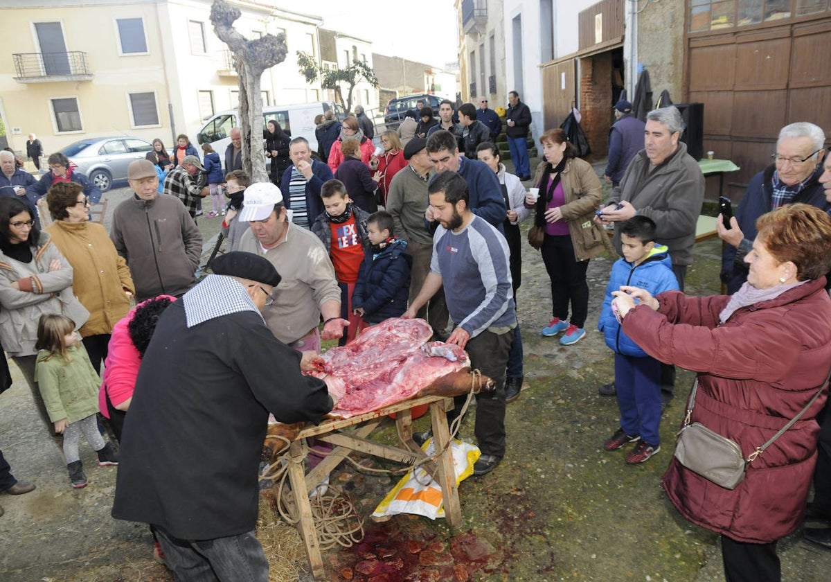 Matanza tradicional en Hinojosa, uno de los eventos de tradición culinaria.