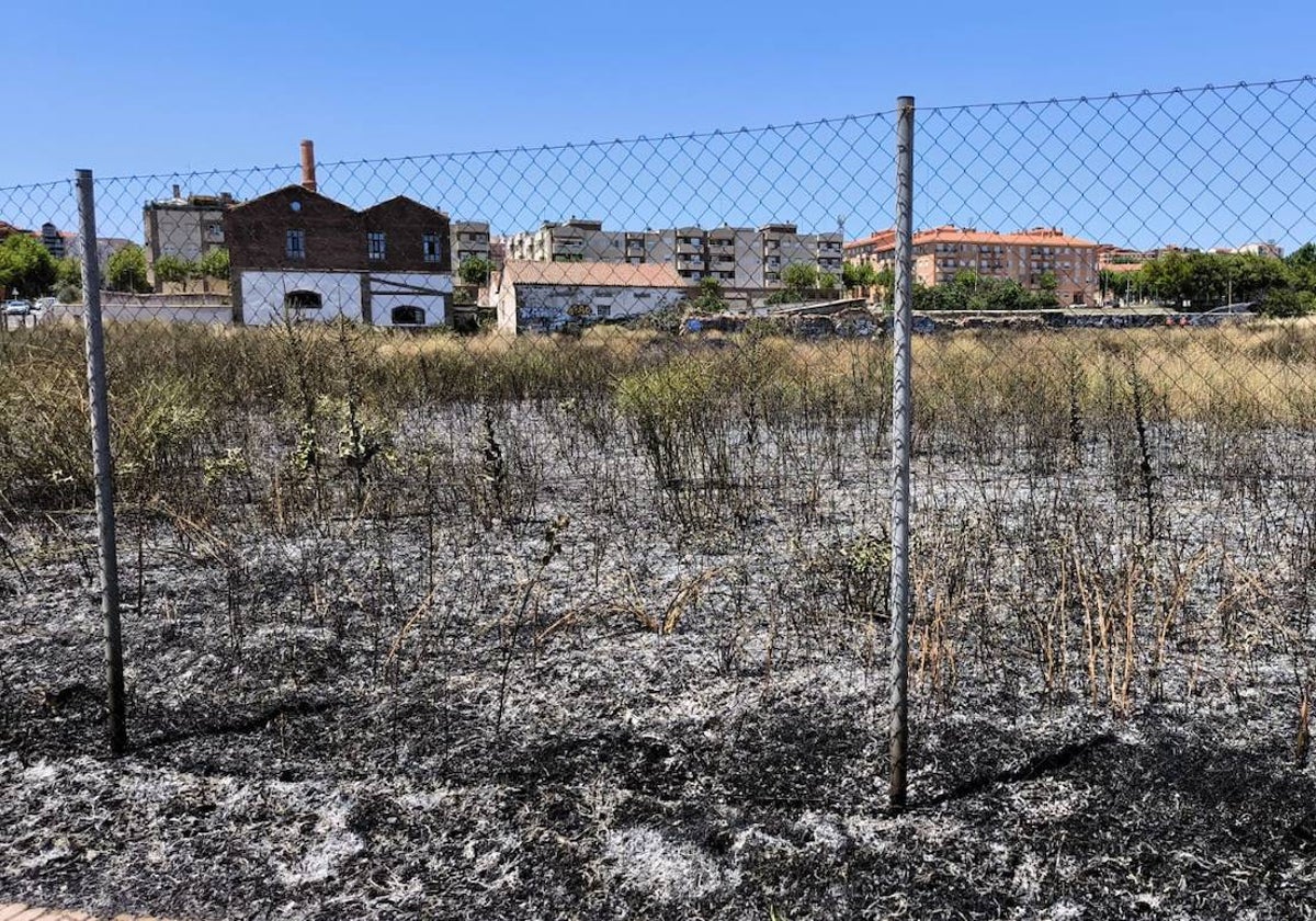 Así ha quedado el solar del Camino de las Aguas tras el incendio