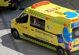 Una ambulancia de Sacyl se trasladó al lugar.