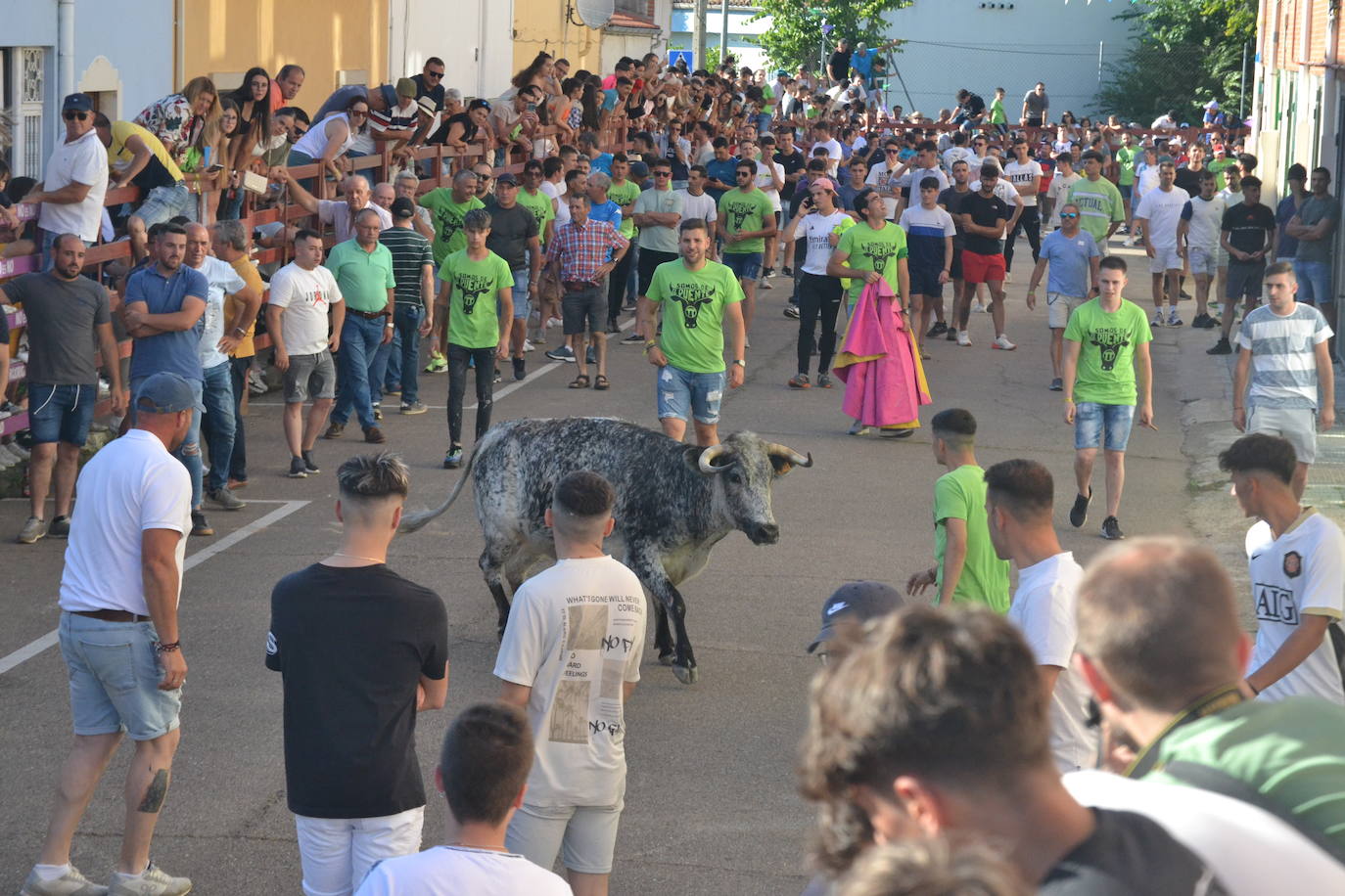 Susto en la capea de Barrio Nuevo de Miróbriga