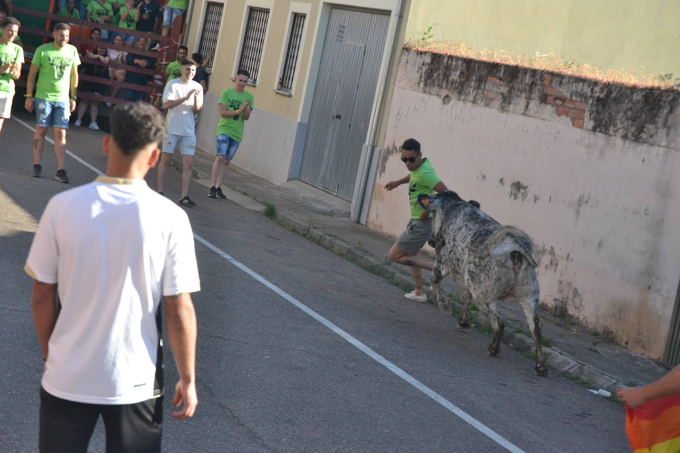 Susto en la capea de Barrio Nuevo de Miróbriga