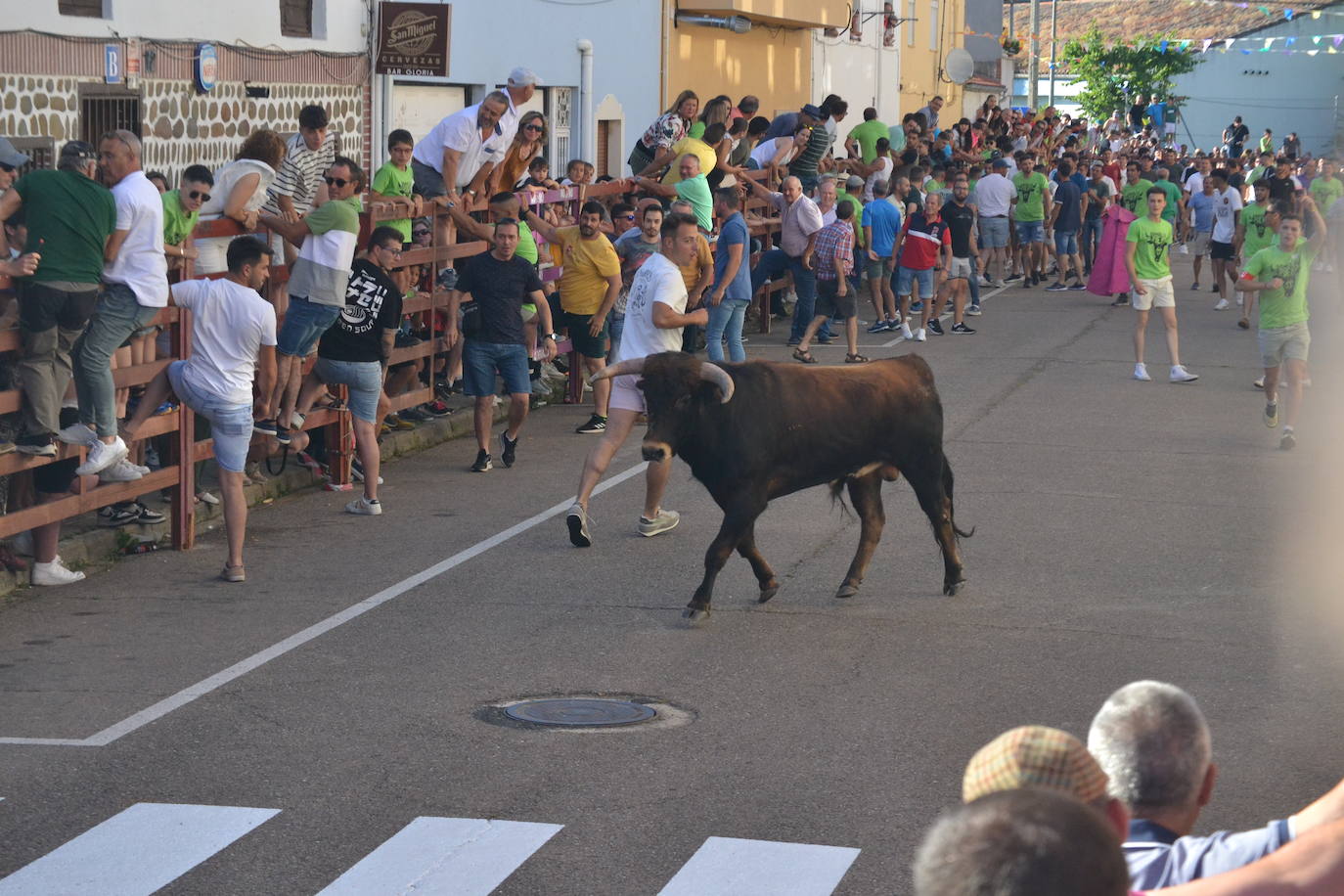 Susto en la capea de Barrio Nuevo de Miróbriga