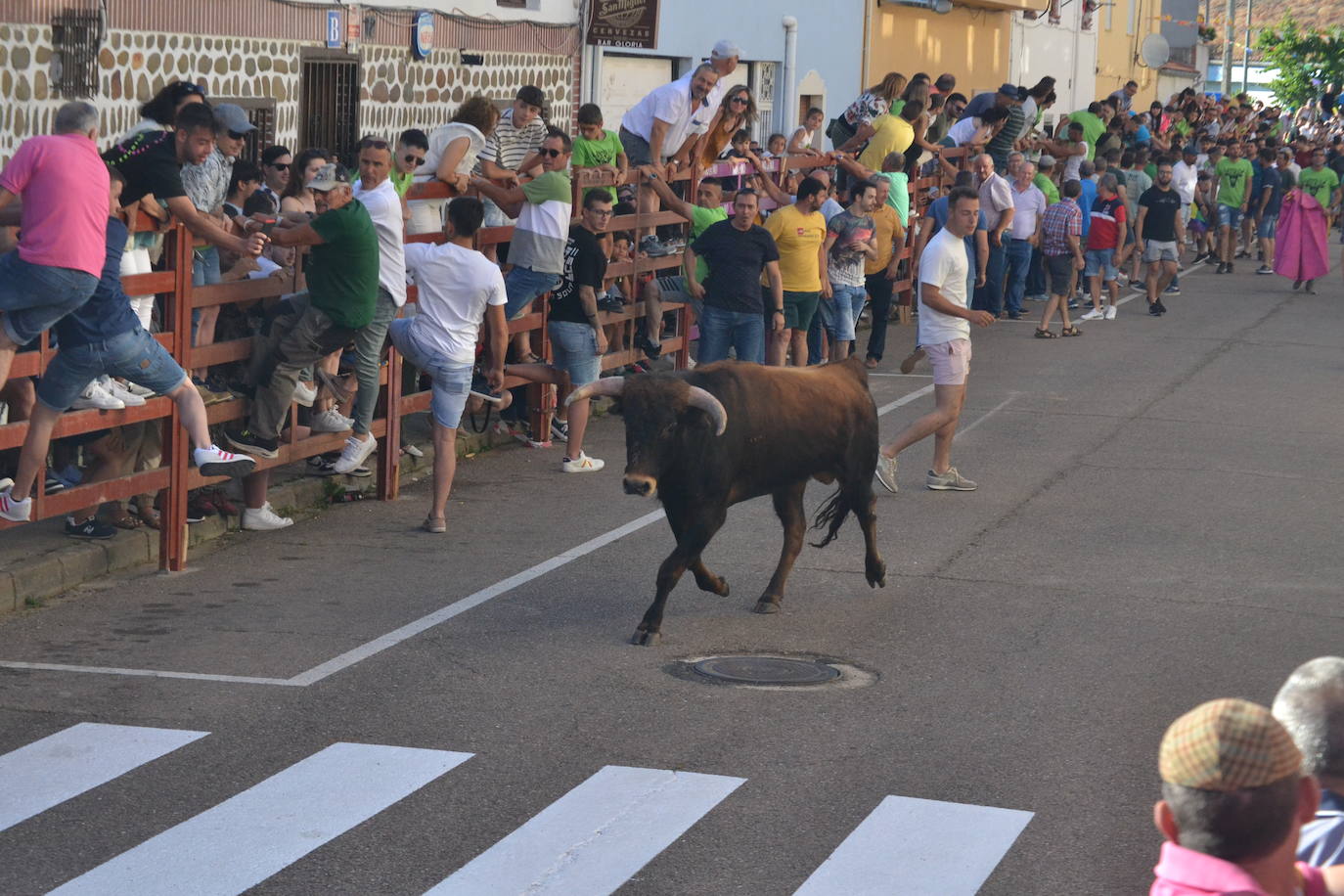 Susto en la capea de Barrio Nuevo de Miróbriga