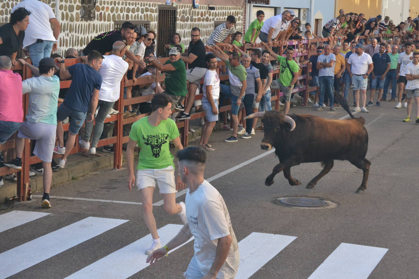 Susto en la capea de Barrio Nuevo de Miróbriga