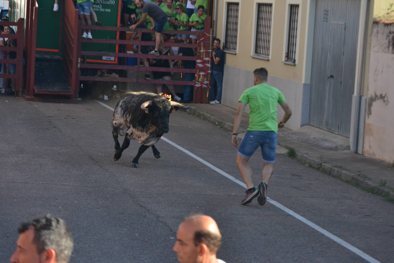 Susto en la capea de Barrio Nuevo de Miróbriga