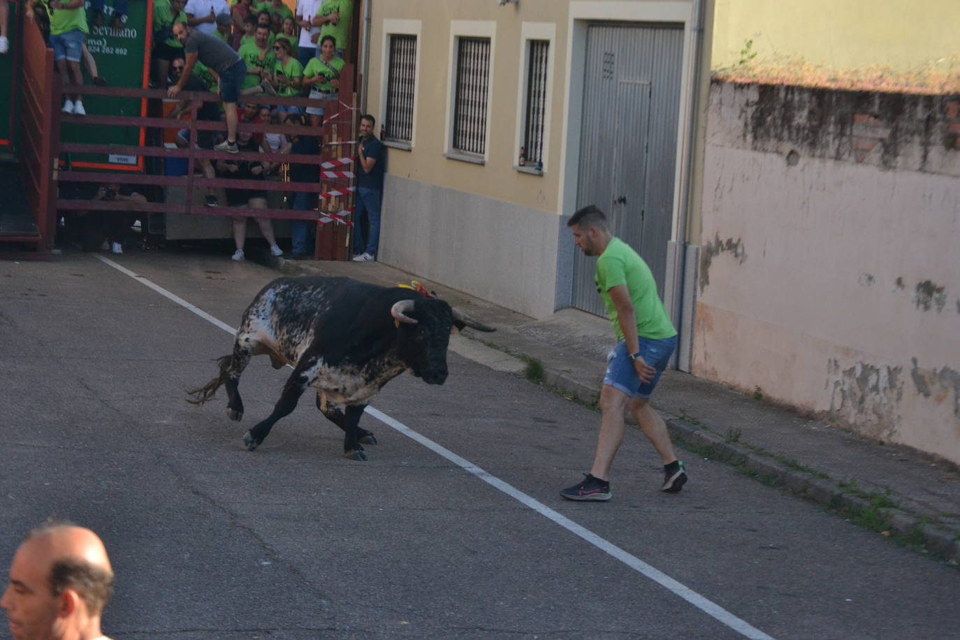 Susto en la capea de Barrio Nuevo de Miróbriga