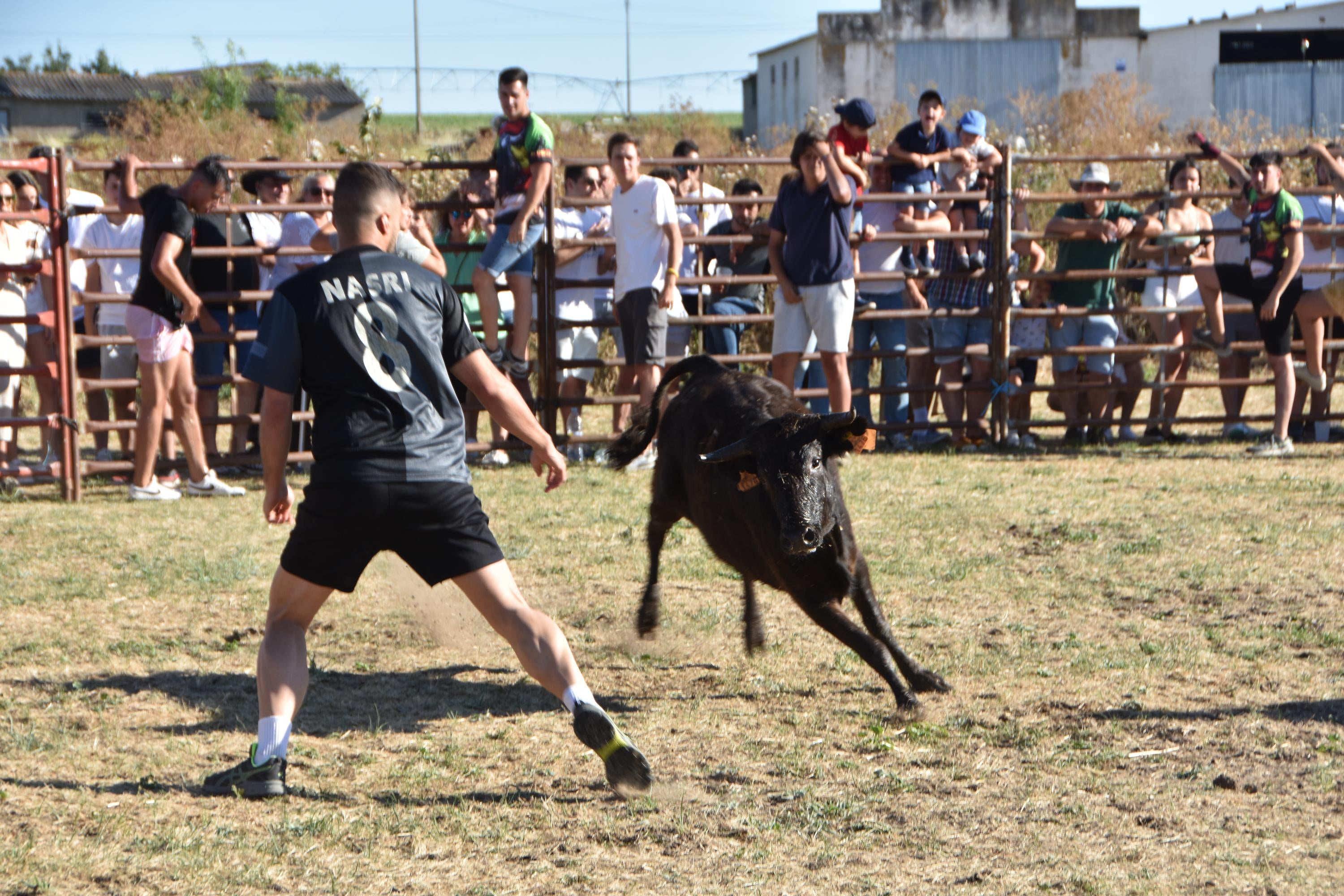 Forfoleda vibra con su cita taurina más esperada
