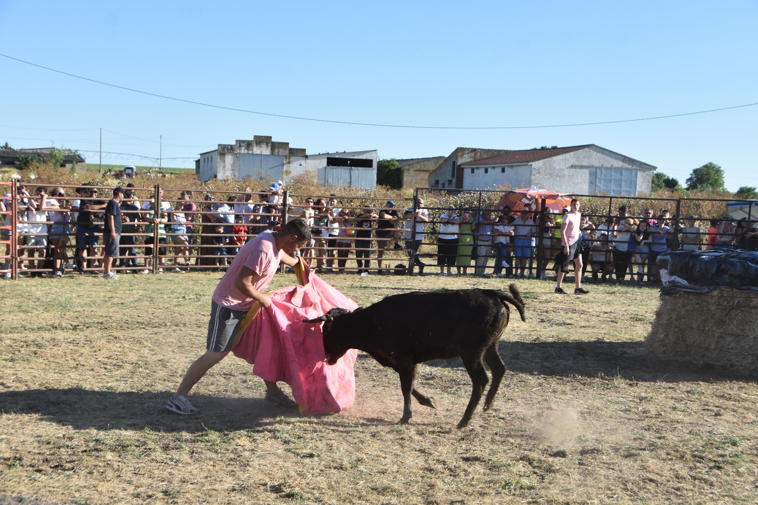 Forfoleda vibra con su cita taurina más esperada