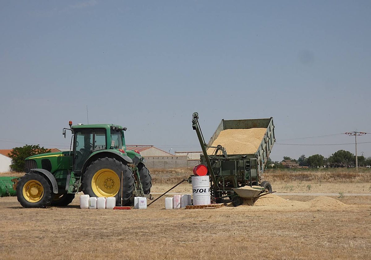 Cosecha con maquinaria