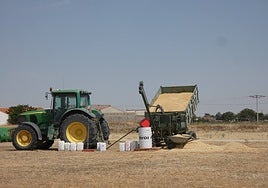 Cosecha con maquinaria