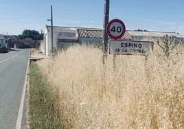 Entrada de la localidad Espino de la Orbada.