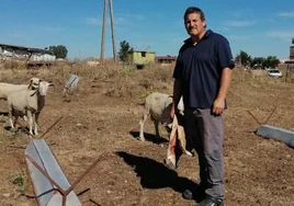 Sebastián García, con ejemplares de su rebaño.