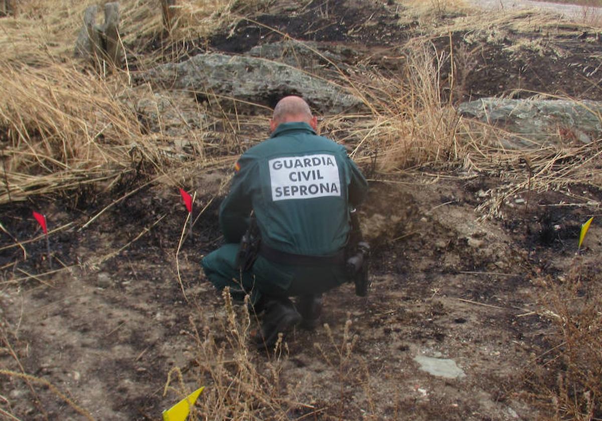 Una imagen de la Guardia Civil investigando en la zona del incendio.