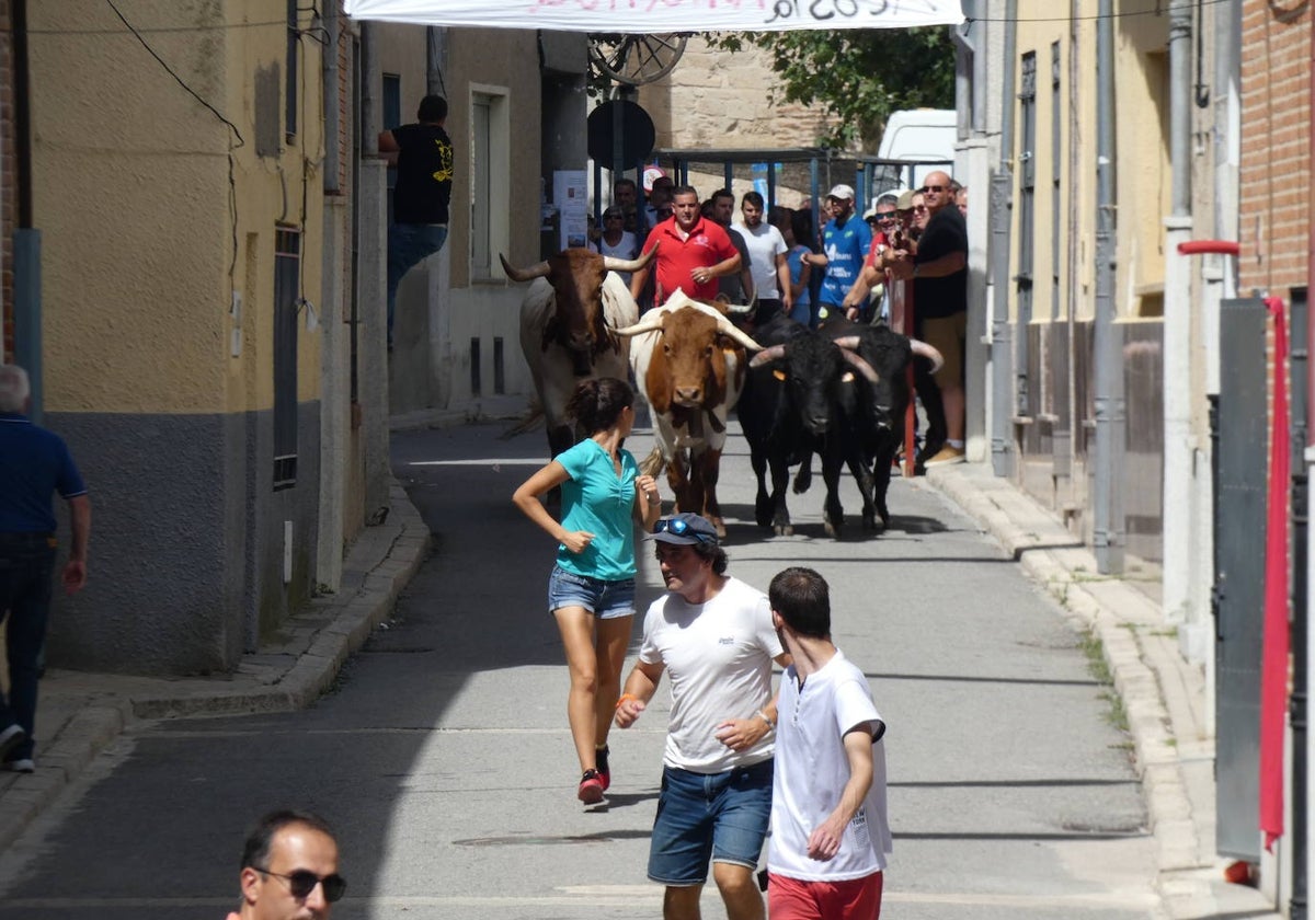 Cantalapiedra prevé contar con diez festejos taurinos de calle y plaza