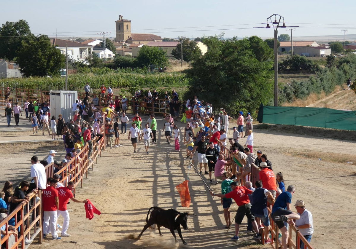 Festejo taurino en las fiestas de Cantalpino del pasado año.