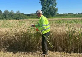 Pesimismo en el campo salmantino: sin precios tan bajos desde 2020