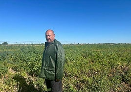 Agustín Villoria, en Francos.