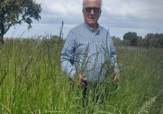 Tomás Centeno, en su finca de La Huérfana de Gejuelo del Barro.