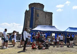 Exhibición de cetrería.