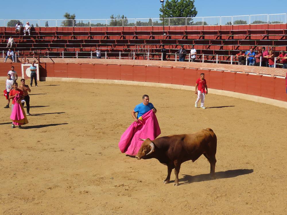 Dos bravos astados protagonizan el campero de Cantalpino