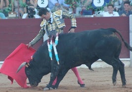 Derechazo de José María Manzanares a Capuchino, el quinto toro de Carmen Lorenzo lidiado ayer en Guijuelo.